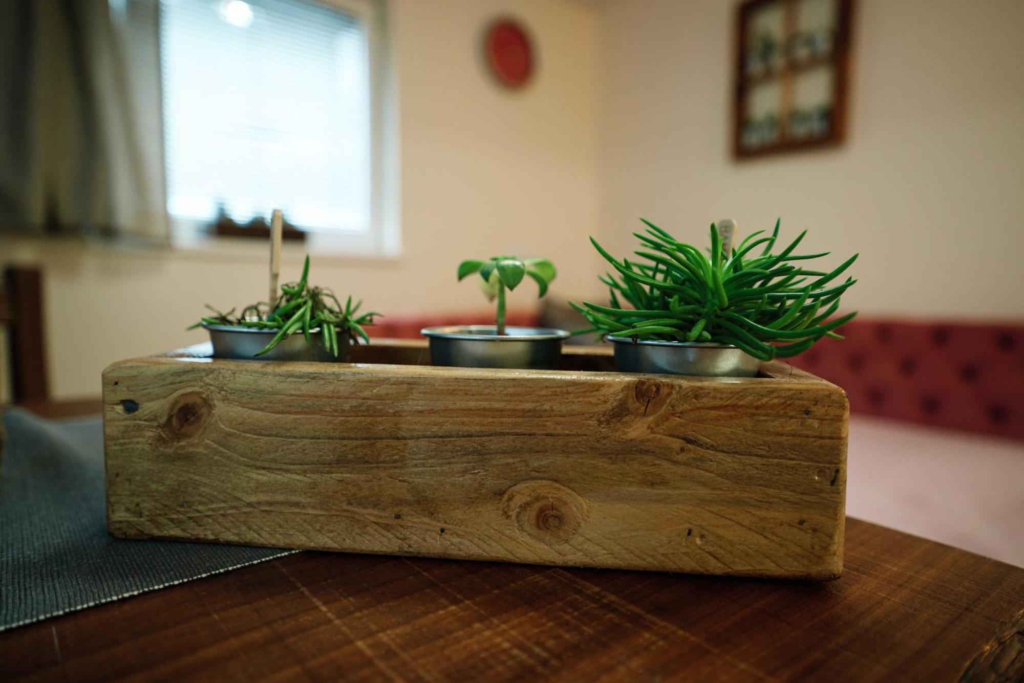 Apartment Hanny 라스코 외부 사진